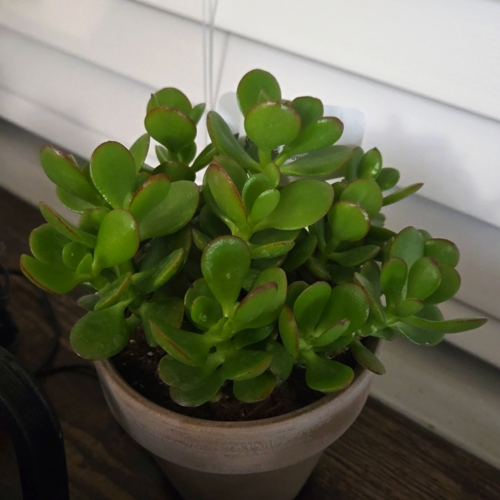 Meet your Posher, Kristina